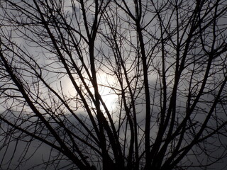 Obraz premium Aquella vez 