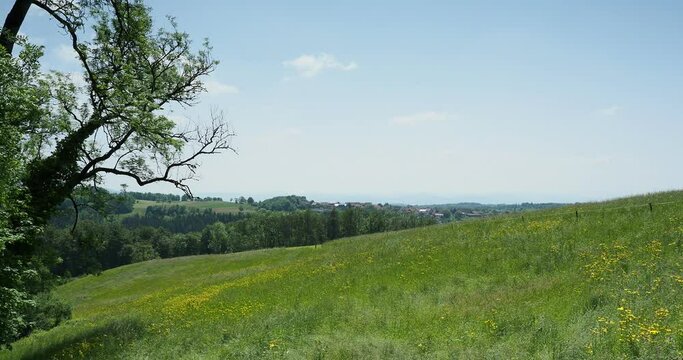 Schwarzwaldlandschaft. Wanderung rund um Raitbach (Schopfheim). Ebene und den Feldern zwischen Raitbach und Sattelhofweg. Blick auf das Dorf K&uuml;rnberg