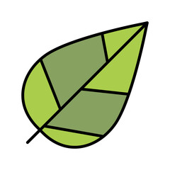 Leaf icon