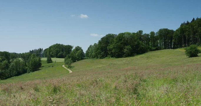 Schwarzwaldlandschaft. Wanderung rund um Raitbach (Schopfheim). Ebene und den Feldern zwischen Raitbach und Sattelhofweg
