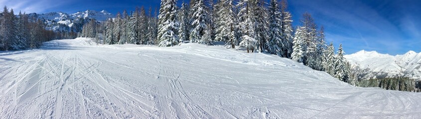 Fototapeta na wymiar panoramic view on slopes in alpine mountain ccrossing fir forest under blue sky