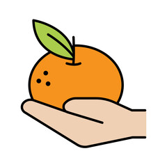 Orange in hand icon
