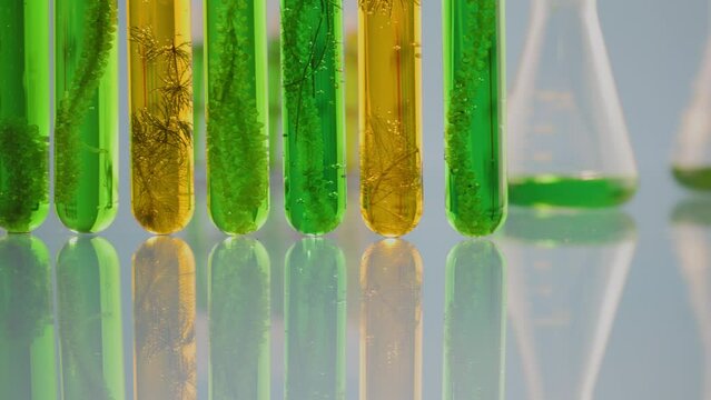 Algae fuel biofuel industry lab researching for alternative to fossil algae fuel or algal biofuel. Zero Carbon Emission concept.