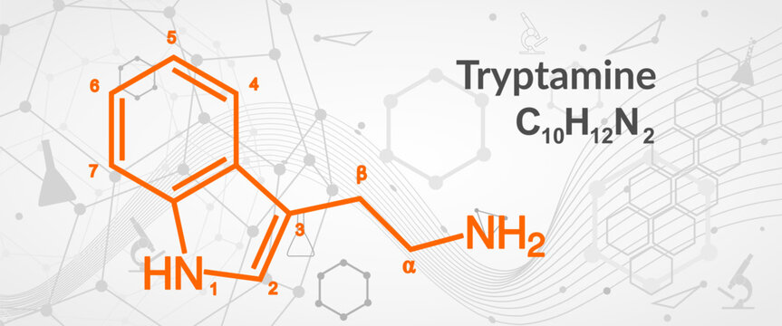 Skeletal formula of alkaloid Tryptamine. Chemical molecule.