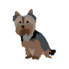 Vector drawing of a Yorkshire Terrier puppy. A sketch of a lying little dog