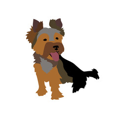 Vector drawing of a Yorkshire Terrier puppy. A sketch of a lying little dog