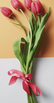 Vertical video of bunch of red tulips with copy space on white and yellow background