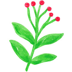 holly christmas watercolor illustration design