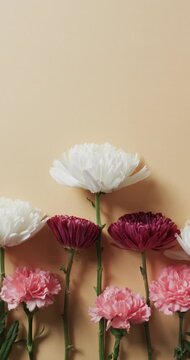 Vertical video of white, red and pink flowers with copy space on yellow background