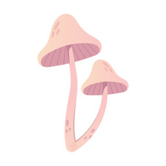 Mushrooms isolated on white background