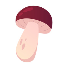 Mushroom isolated on white. Vector illustration