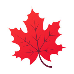 Autumn leaf isolated on white