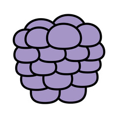 Raspberry icon