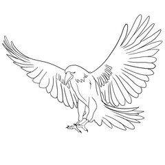 Icon of flying raven