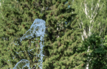 Transparent water jets from the fountain against the background of the forest.