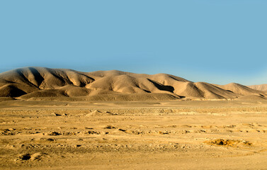 Sahara dunes