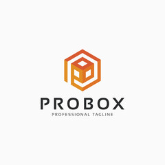 Probox hexagon Logo Template