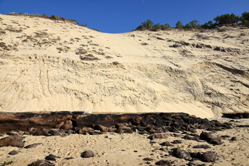 France, côte aquitaine, bassin d'Arcachon, érosion des plages et des dunes due au changement climatique entrainant le recul du trait de côte.