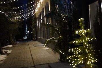 city street near the house in the evening with glowing garlands on the trees. The concept of travel and local tourism