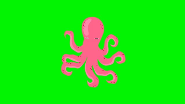 Animated Video Showing Moving Octopus Animals