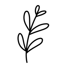 Leaf line.botanical outline.simple leaf illustration.