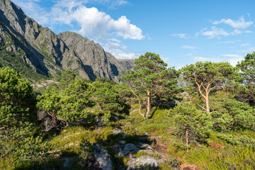 Fototapeta na wymiar Berge und Moor im Süden der norwegischen Insel Vega