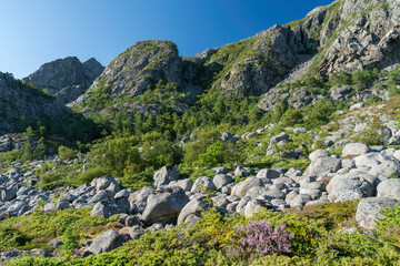 Fototapeta na wymiar Berge auf der norwegischen Insel Vega