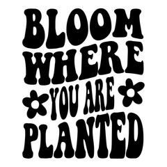 Bloom Where You Are Planted Svg