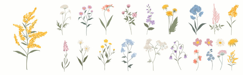 Collection of floral and botanical elements. Set of leaf, foliage wildflowers, plants, bloom, leaves and herb. Hand drawn of blossom spring season vectors for decor, website, graphic and shop.