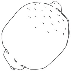 Lemon line art