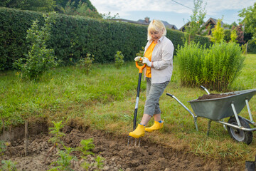 Farmer cultivating land in the garden with hand tools. Soil loosening. Gardening concept....