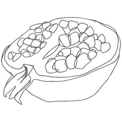 Sliced pomegranate line art
