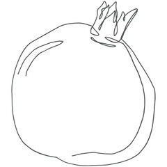 Pomegranate line art