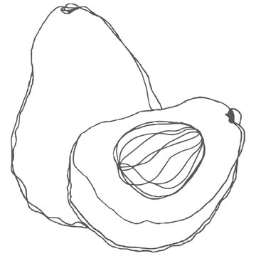 recommend clip art: Avocado line art