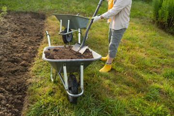 50s senior farmer woman with a shovel unloads a wheelbarrow filled with earth. Spring field work ....