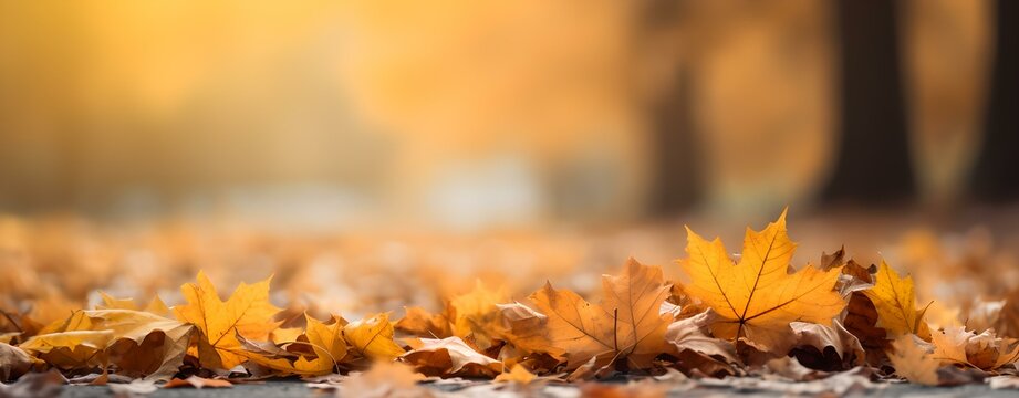 รูปภาพ"Spaziergang – เลือกดูภาพถ่ายสต็อก เวกเตอร์ และวิดีโอ90,438