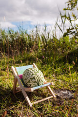 Brain on a sun bed in nature area. Positive effect of fresh air and sun on mind. Taking break from...