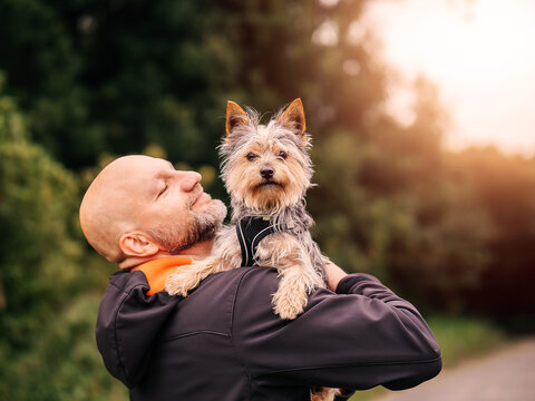 Man holding cute little Yorkshire terrier in his hands in a park. Beautiful scene with expression of affection and friendship to your friend. Selective focus. Bald male with stunning pet. - Powered by Adobe