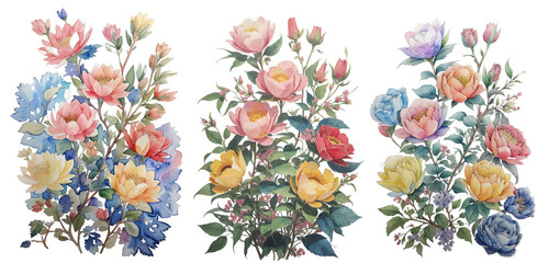 Watercolor flowers on a white background without shadows for illustration.