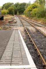 Fototapeta premium railway tracks in a rural scene with nice afternoon light