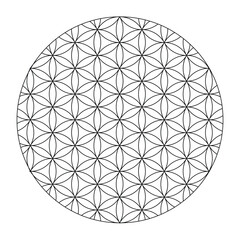 Flower of life Black outline. Scared Geometry Vector Design Elements color. This is religion, philosophy, and spirituality symbols. the world of geometry with our intricate illustrations