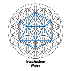 Icosahedron Water. Scared Geometry Vector Design Elements color. This is religion, philosophy, and spirituality symbols. the world of geometry.