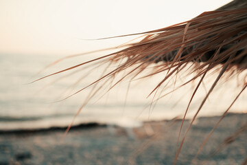 Beach holiday concept. parasol from straw,dry leaves, selective focus.