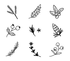 Set of Christmas florals. Festive black outline decorative leaves, flowers and branches. Hand drawn modern vector isolated clipart