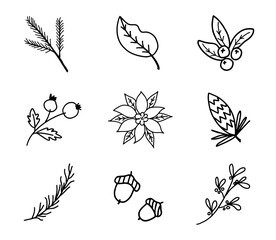Set of Christmas florals. Festive black outline decorative leaves, flowers and branches. Hand drawn modern vector isolated clipart
