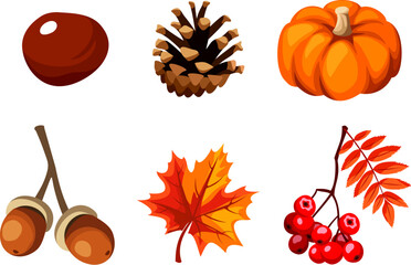 Set of autumn symbols (pumpkin, maple leaf, rowanberry, acorn, pinecone, and chestnut) isolated on a white background. Icon set. Vector illustrations