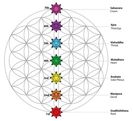 Seven chakras Set of seven chakra symbols with names. These is religion, philosophy, and spirituality symbols. vector illustration. on background