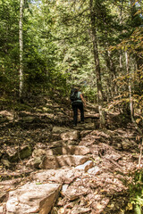 Fototapeta premium Girl hiking in the Forest near lake in La Mauricie National Park Quebec, Canada on a beautiful day
