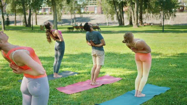 Fit group practicing standing backbend pose in sunny summer park. Young people doing stretching exercises. Outdoor sports activities in the fresh air. Health and wellness concept
