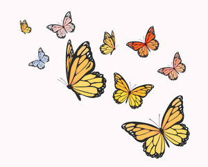 set of butterflies isolated